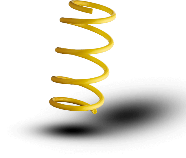 ST Sport Springs